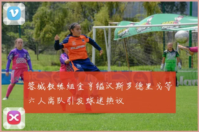 蓉城教练组金亨镒汉斯罗德里戈等六人离队引发球迷热议