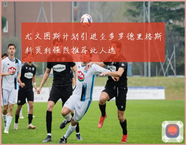 尤文图斯计划引进圭多罗德里格斯科莫利强烈推荐此人选